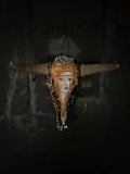 jane doe